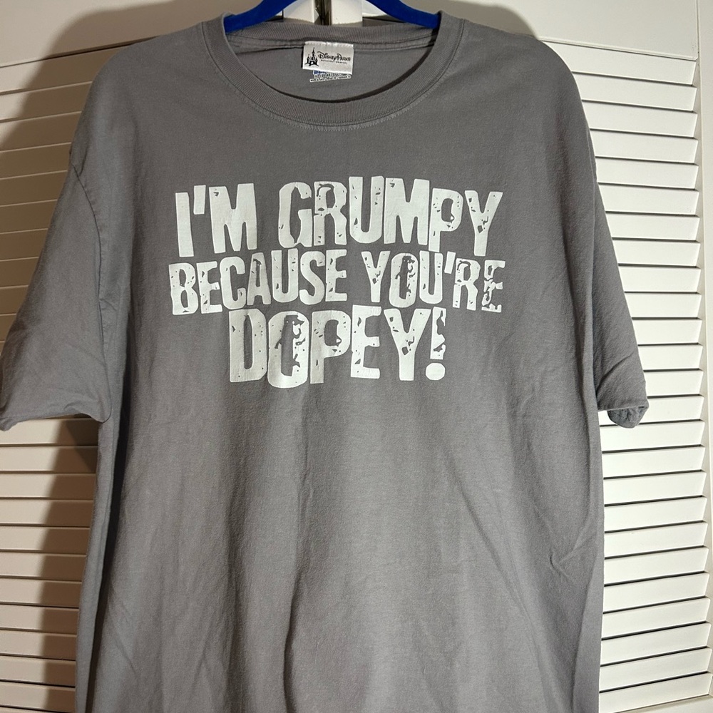 Men’s XL Official Walt Disney World T-Shirt